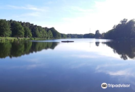 Lac de Creutzwald景点图片