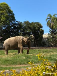 Parque Zoologico Municipal Quinzinho De Barros-索罗加巴