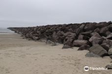 South Beach State Park-纽波特