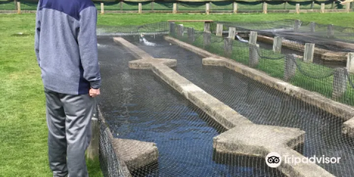 Sandwich Fish Hatchery