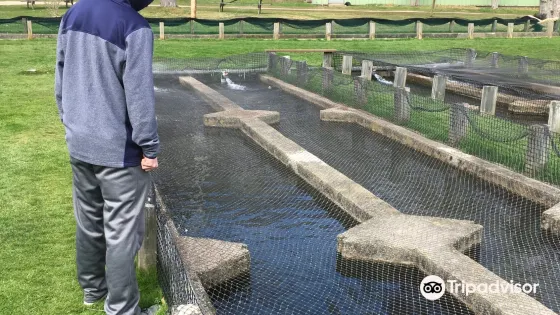 Sandwich Fish Hatchery