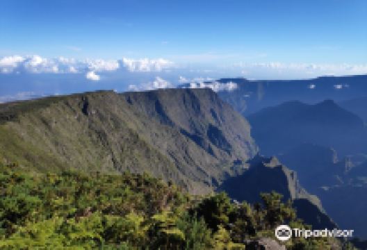 Piton Maïdo景点图片