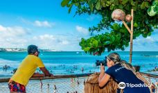 Jangalancha Show-纳塔尔