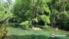 Tamasopo Falls-塔马索波