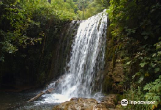 Valle delle Ferriere景点图片