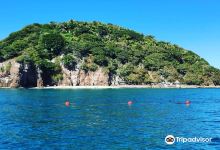Isla de Coral景点图片