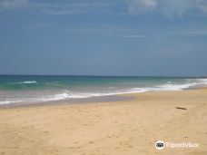 Narigama Beach-希克杜沃