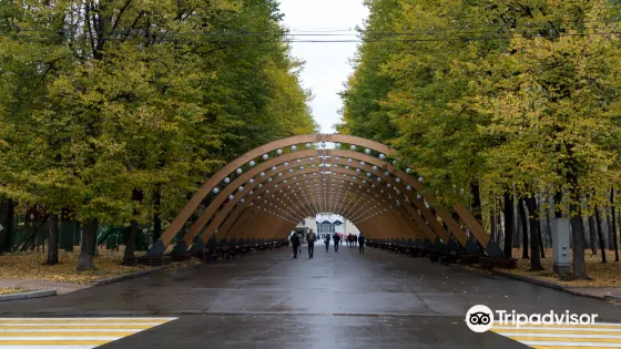 索科利尼基公園