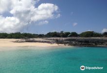 Scrub Island景点图片