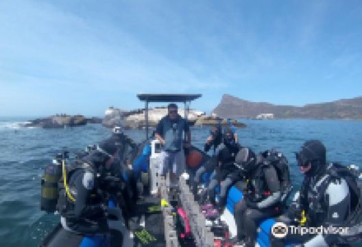 Pisces Divers购物图片