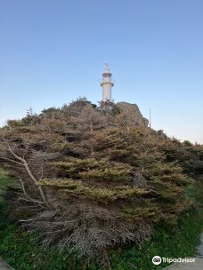 Lobster Cove Head Lighthouse-洛基港
