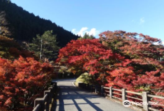 Oashi Canyon景点图片
