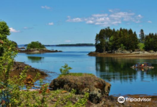 Chocolate Cove景点图片