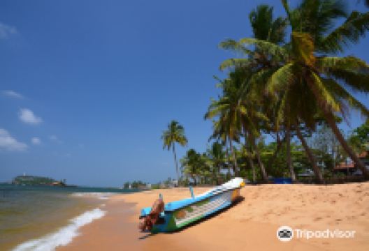 Beruwala Beach景点图片