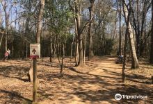 Lanana Creek Trail景点图片