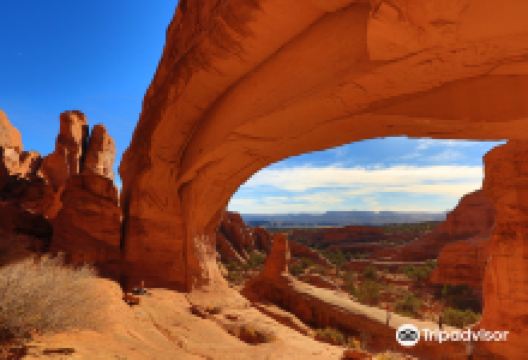 Tower Arch景点图片