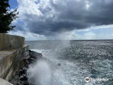 阿拉吼吼喷泉口-Tiarei