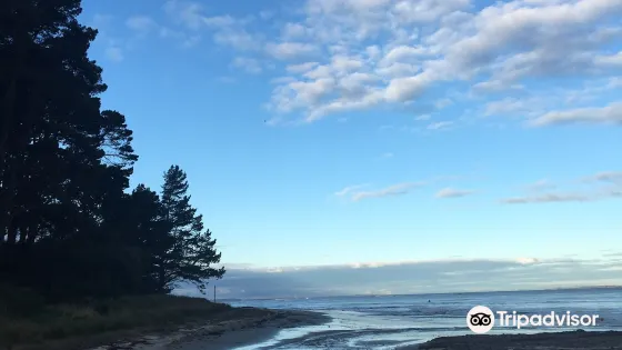Pines Beach