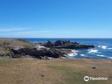 Pebble Island-斯坦利