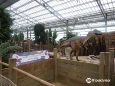 Biotropica, animal gardens-瓦德勒伊
