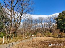 Jindai Botanical Garden Plant Diversity Center-调布市