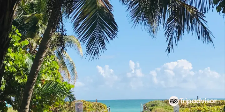 North Shore Open Space Park