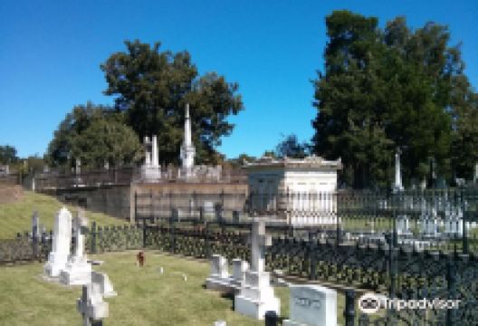 Natchez Cemetery景点图片