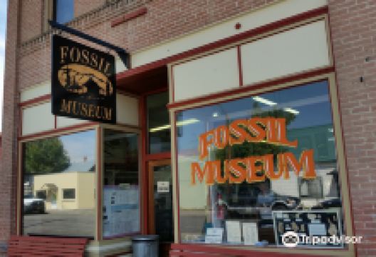 The Fossil Museum景点图片