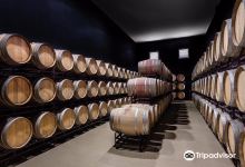 Tiago Cabaco Wines景点图片