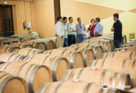 Bodegas Jabalcon景点图片