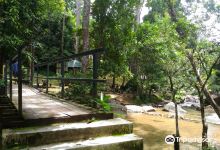 Hutan Lipur Sungai Bantang景点图片