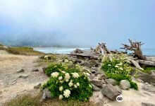 Yachats State Park景点图片