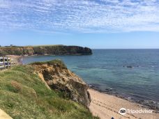 Baginbun Beach-韦斯福德