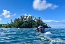 Outdoor Samoa Limited购物图片