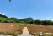Nakanojo Gardens景点图片
