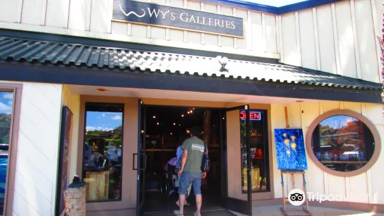 Wys Galleries