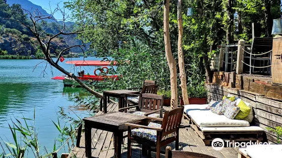 Dalyan Nehri