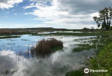 Stanpit Marsh景点图片