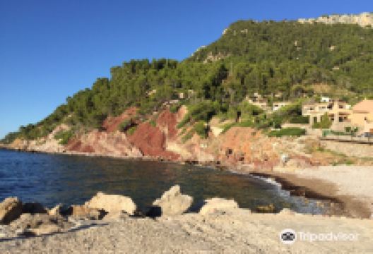 Port De Valldemossa景点图片