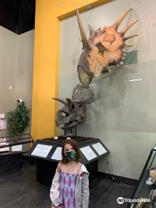 大平原恐龙博物馆-马耳他