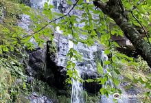 Hen Wallow Water Falls景点图片