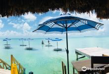 Secret Beach Belize景点图片