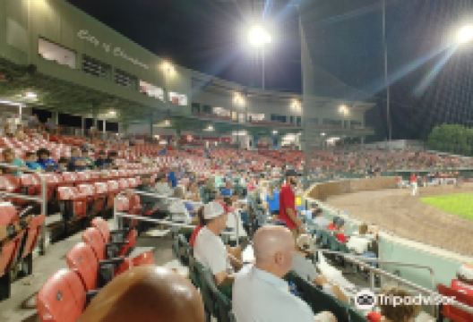 Campanelli Stadium景点图片