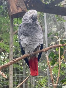 Butterfly Park Empuriabrava-Alt Emporda