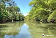 Kokopelli景点图片