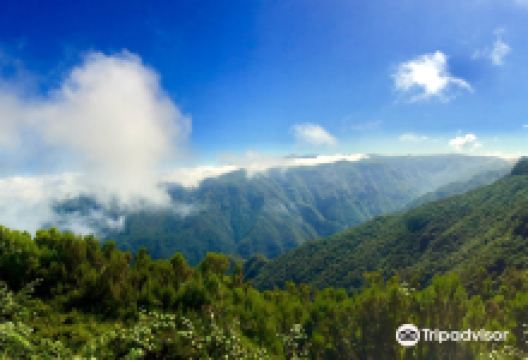 Bica Da Cana景点图片