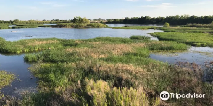 I-20 Wildlife Preserve
