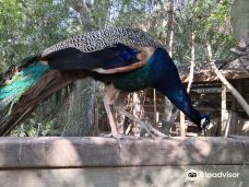 Discovery Farm Saint-André-滨海阿热莱斯