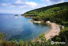 Spiaggia di Malpasso景点图片