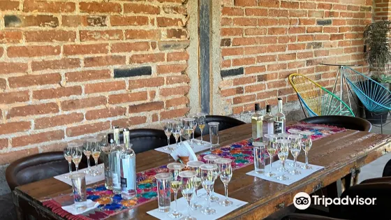 Tequila Cascahuin